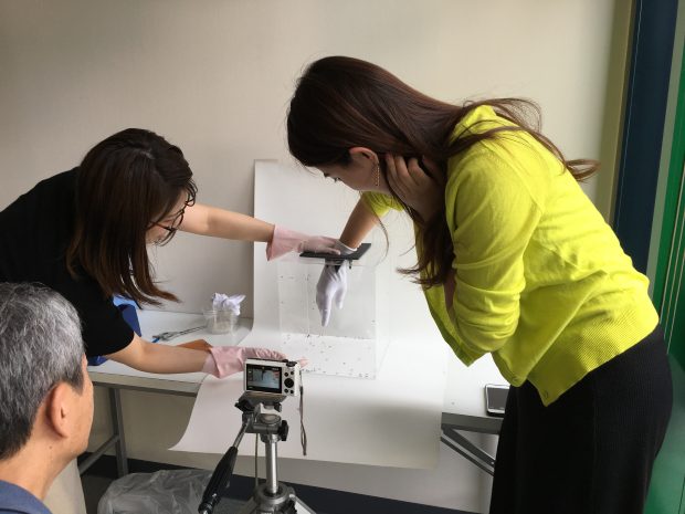 虫除けスプレー『アンチバグ』で忌避効果の実験をしてみました！