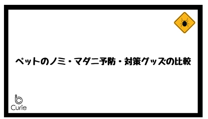 《メディア掲載》『キュリー』に掲載いただきました！