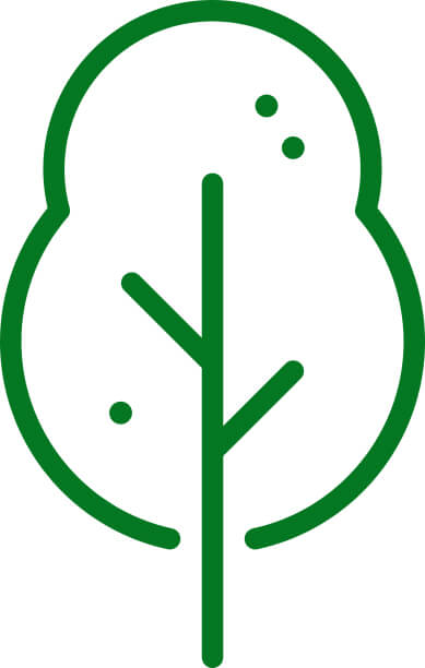 iconwoody