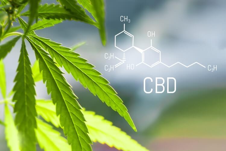 CBDとは何？ストレス軽減やリラックスにも。効果や使用方法をご紹介