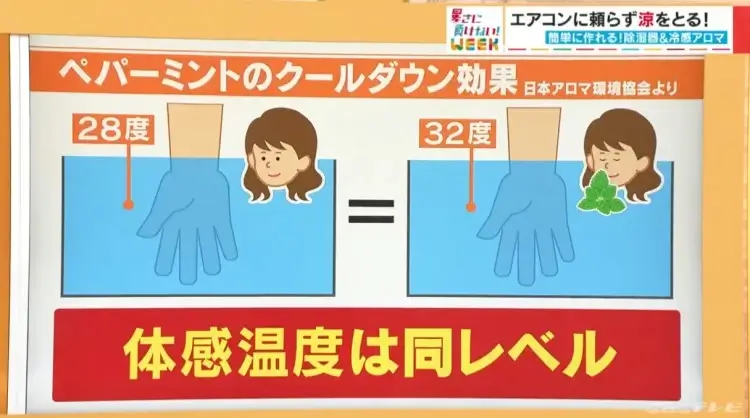 ≪メディア掲載≫CBCテレビ『チャント！』のくらしニュースに取り上げていただきました！