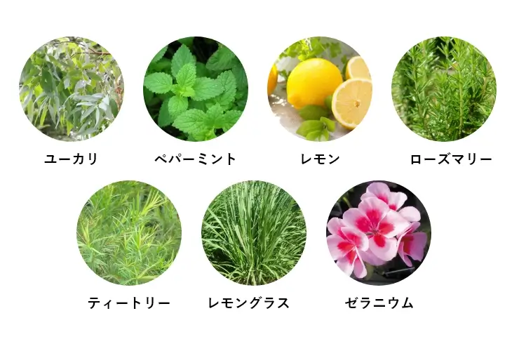 T-aromaブレンド精油