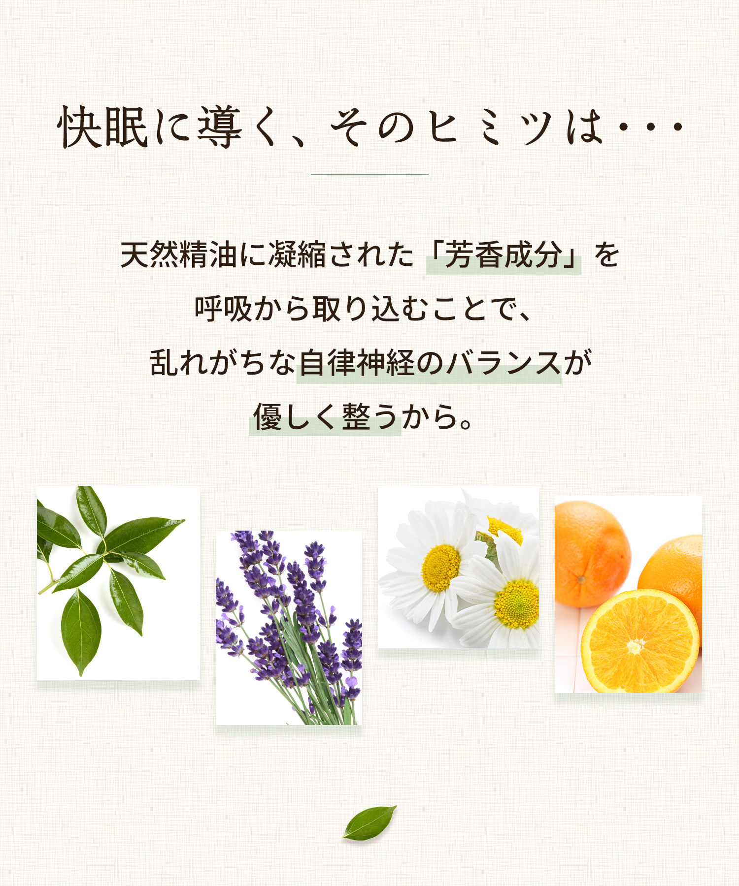 快眠に導く、そのヒミツは…天然精油に凝縮された「芳香成分」を呼吸から取り込むことで、乱れがちな自律神経のバランスが優しく整うから。