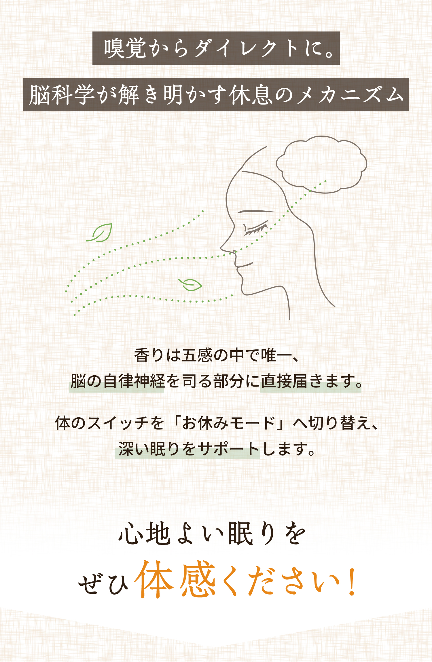 嗅覚からダイレクトに。脳科学が解き明かす休息のメカニズム 香りは五感の中で唯一、脳の自律神経を司る部分に直接届きます。 体のスイッチを「お休みモード」へ切り替え、
深い眠りをサポートします。 心地よい眠りを ぜひ体感ください！