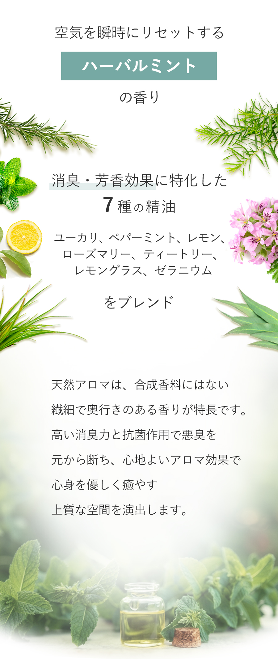 空間を瞬時にリセットするハーバルミントの香り。消臭芳香効果に特化した7種の精油をブレンド。天然アロマは、合成香料にはない繊細で奥行きのある香りが特長です。高い消臭力と抗菌作用で悪臭を元から断ち、心地よいアロマ効果で心身を優しく癒す上質な空間を演出します。